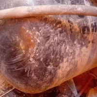 کپسول گاز ماشین ال چی جی