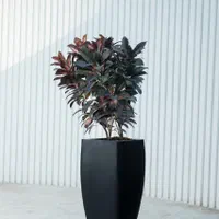 پخش( عمده و تک)انواع مدل گلدان فایبر(پلی اتلین)