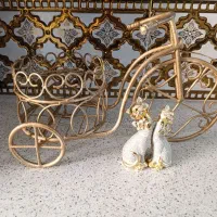 جامیوه ای و دکوری دوچرخه