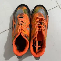 کفش|کیف، کفش، کمربند|بندرعباس, |دیوار