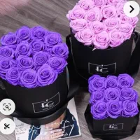 فروش خط ثابت .02155132576