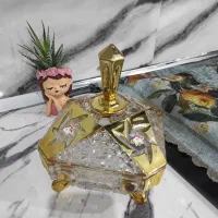 ظروف پذیرایی نو