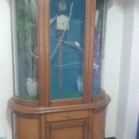 بوفه جای لونه پرنده