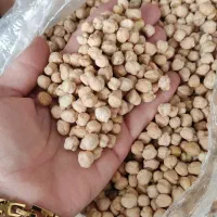 نخود و لوبیا درجه یک