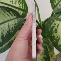 آیفون ۱۳|موبایل|ایلام, |دیوار