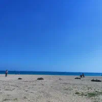 نظافت هرس کاری گلها