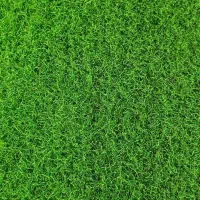 چمن مصنوعی دپو اصفهان قیمت نمایندگی|مصالح و تجهیزات ساختمان|اصفهان, برازنده|دیوار