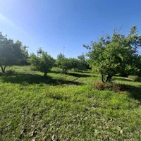 باغ 1500متری سند دار دونبش جاده اصلی