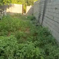زمین ۸۸ متری|فروش زمین و ملک کلنگی|رشت, کوی یخ|دیوار