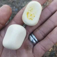 یک جفت سنگ اسیاب|کلکسیون اشیاء عتیقه|خان ببین, |دیوار