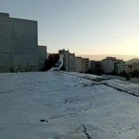 دو پرنده پرشتی|پرنده|خرمآباد, |دیوار