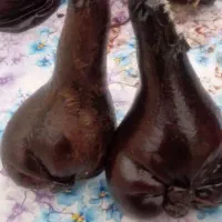 هیزه جا روغنی|ظروف نگهدارنده، پلاستیکی، یکبارمصرف|ایلام, |دیوار