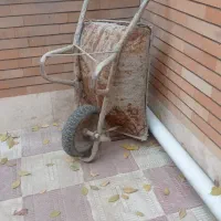 فرغون سالم ضخیم