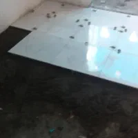 خدمات صفرتاصد سنگ کاری وکاشی کاری|خدمات پیشه و مهارت|گرگان, |دیوار