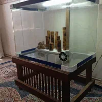 آکواریوم شیشه خم شرکتی