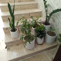 گل وگلدان