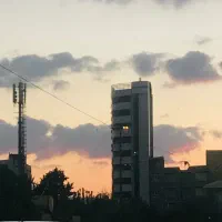 خط رند