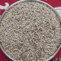 تخمه هندوانه اعلاء