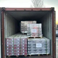 فروش انواع لنت های دیسکی خارجی و وارداتی|قطعات یدکی و لوازم جانبی|همدان, |دیوار