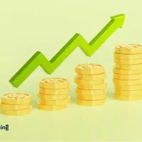 درخواست سرمایه با تضمین