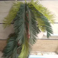 نخل مصنوعی سه خوشه