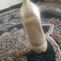 بذر درجه یک