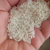 برنج نیمدانه طارم فریدونکنار|خوردنی و آشامیدنی|مشهد, کارمندان دوم|دیوار