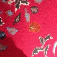 کناره|فرش|زاهدان, |دیوار