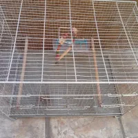 قفس بزرگ پرنده