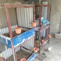 لاری قفس دوطبقه