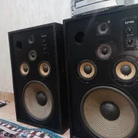 باند پایونیر CS811