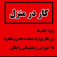 کار با گوشی در منزل بانوان