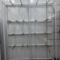 رگال اماده لباس