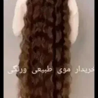 موهای شما گران بها هستند