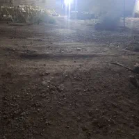 پوسته سپر کوئیک نو