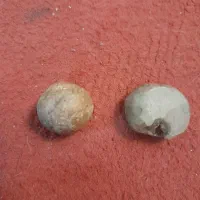 سنگ راف و آنالسیم