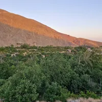 طبیعت‌گردی