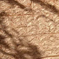 روتختی|تخت و سرویس خواب|مریوان, |دیوار