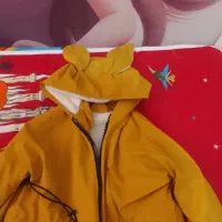 کاپشن وبارونی|لباس|شهرکرد, |دیوار