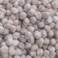 نخود درجه یک|خوردنی و آشامیدنی|رشت, رودباری|دیوار