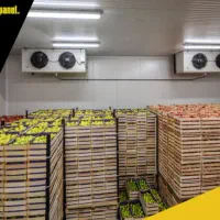 نصب (۳۳۳سردخانه۳۳۳) با ابعاد سفارشی|ماشین‌آلات صنعتی|بندرعباس, |دیوار