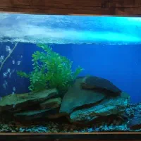 آکواریم با میز ام دی اف