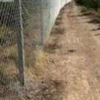 اجرای فنس  رنگ امیزی درحیاط و اتاق  دستمزدتوافقی|خدمات باغبانی و درختکاری|رشت, حومه رشت|دیوار