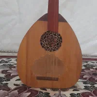 عود عراقی سالم