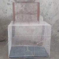 قفس پرنده