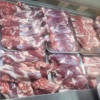 نیازمند نیروی ماهروکار کرده برای قصابی