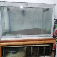 آکواریوم وسامپ