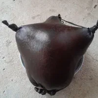 هیزه|حیوانات مزرعه|قم, مهدی آباد|دیوار