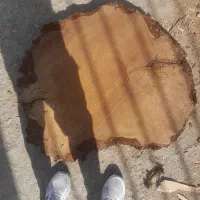 اسلب چوب برای کار رزین برای تزئینات در خدمتتیم|صنایع دستی و سایر لوازم تزئینی|قم, بیست متری ولیعصر|دیوار