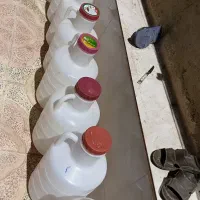 دبه خیارشور